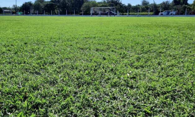 LPF: El «Juan Halzague» está como los colores de su Maderense