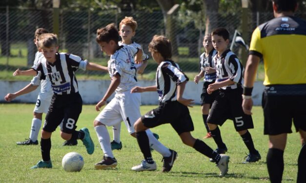 Divisiones Inferiores: Tabla de posiciones, goleadores y próxima fecha