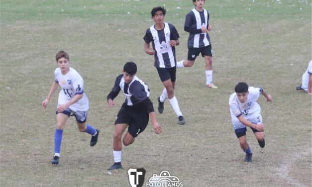 Divisiones Inferiores: La fecha 8 tuvo dos postergados
