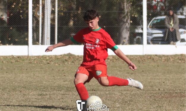 Divisiones Inferiores: Comenzó la fecha 12