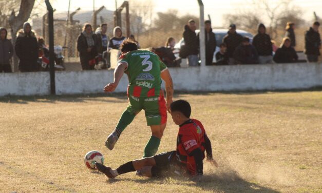 LPF: Un par de jugadores recibieron dos fechas