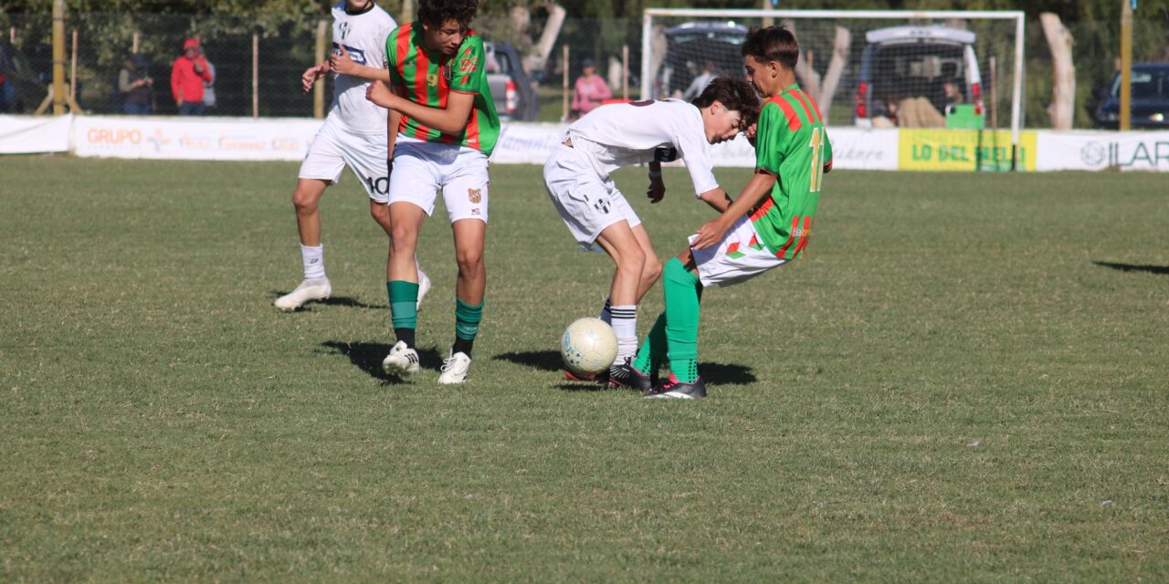 Divisiones Inferiores: Entre sábado y lunes se divide el cronograma