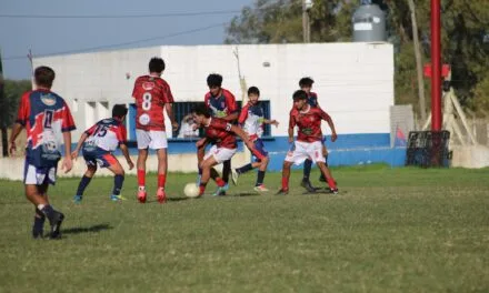 Divisiones Inferiores: Horarios y cruces de la fecha 12
