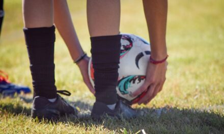 LPF: Como serán las acreditaciones a medios de prensa.