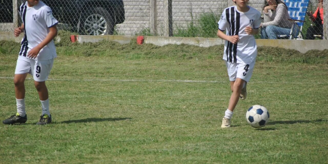 Divisiones Inferiores: Continuo la fecha 11