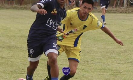 LPF: «La cancha está ‘desautorizada’ para el uso futbolístico, pero al día de hoy no tenemos la certeza de qué es lo que se le objeta a la cancha»