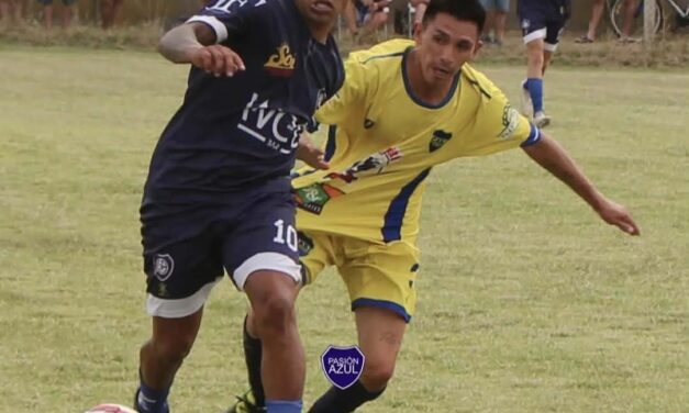 LPF: «La cancha está ‘desautorizada’ para el uso futbolístico, pero al día de hoy no tenemos la certeza de qué es lo que se le objeta a la cancha»