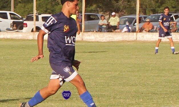 LPF: ¿Como seguiría la Copa en estas semanas?