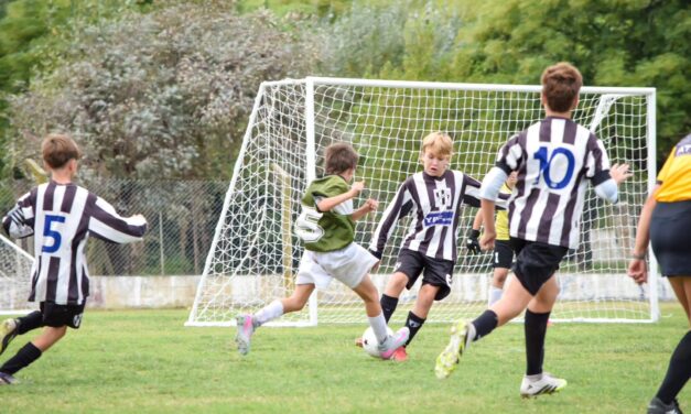 Divisiones Inferiores: Tabla de posiciones de cada división y próxima fecha