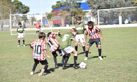 Divisiones Inferiores: Sin actividad mañana