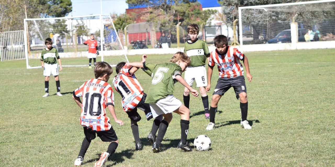 Divisiones Inferiores: La novena fecha a media