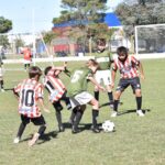 Divisiones Inferiores: La novena fecha a media