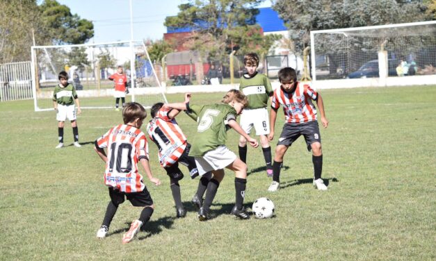 Divisiones Inferiores: La novena fecha a media