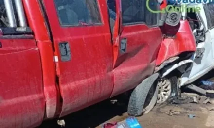 Falleció un conocido piloto de la zona en un accidente ocurrido entre Fortín Olavarría y Soundbland