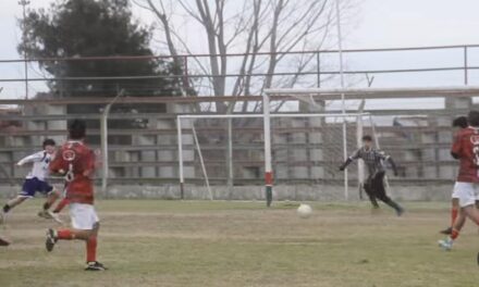 Divisiones Inferiores: Arrancó una nueva fecha