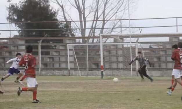 Divisiones Inferiores: Arrancó una nueva fecha