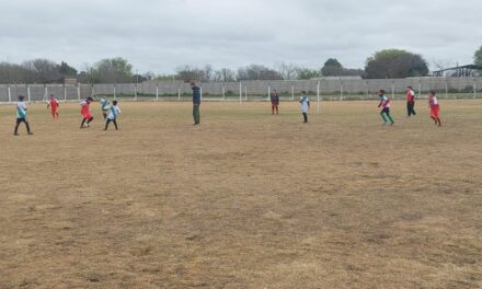 Divisiones Inferiores: Lo que dejó una nueva fecha